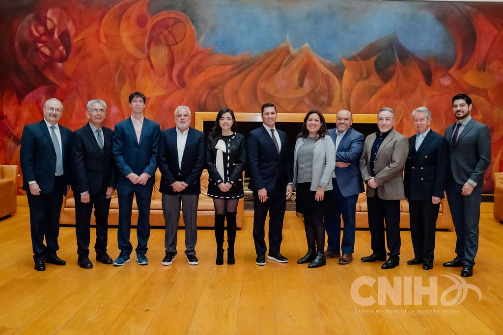 Consejo Directivo CNIH