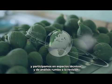 CNIH al Día | Resultados del Mes de Enero 2026